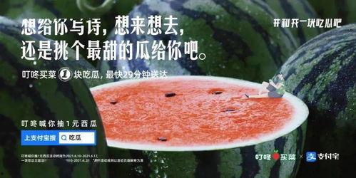 娱乐圈的吃瓜文案是什么,揭秘娱乐圈背后的趣味与真相