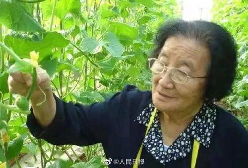 娱乐吃瓜戴手环的是谁啊,王菲戴手环为谢霆锋应援，网友热议锋菲恋甜蜜瞬间