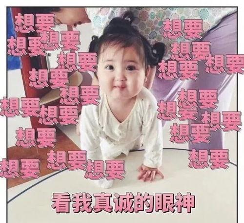 吃瓜娱乐小崽崽小说,小崽崽的吃瓜成长记