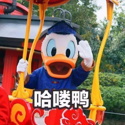 娱乐吃瓜鸭