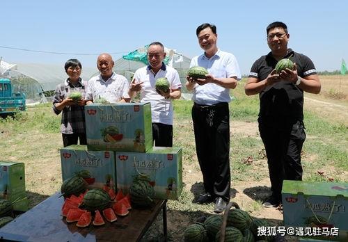 娱乐小八吃瓜视频下载安装,轻松追剧，畅享娱乐盛宴