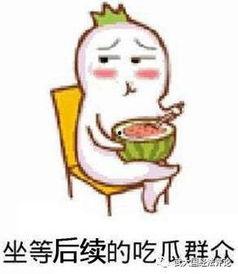 娱乐吃瓜酱制造舆论,揭秘娱乐圈幕后风云，制造舆论热点