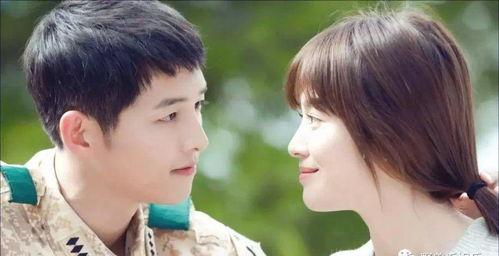 娱乐圈吃瓜嗑cp小说推荐,从吃瓜到嗑cp的甜蜜冒险